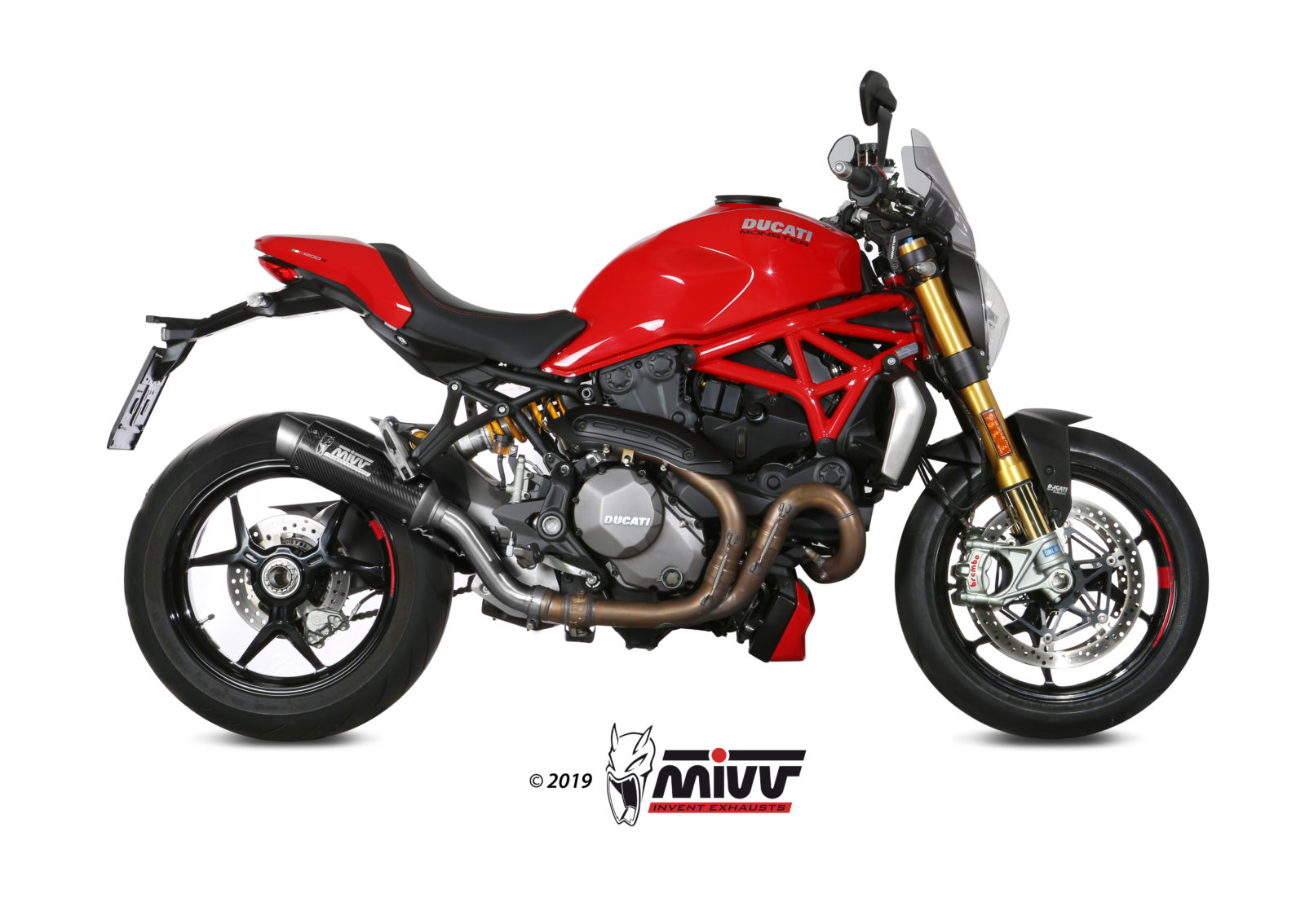 Scarico DUCATI MONSTER 821 Mivv GP PRO Carbonio D.041.L2P